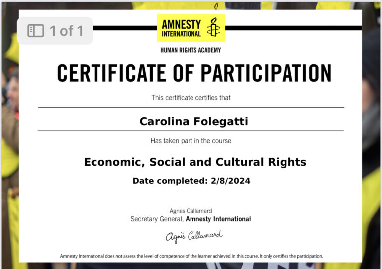 Amnesty International Certificate 2